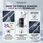 Infographic showing Blond Plex Violet Developer 20 Volume with explanations of its violet, plex, and fruit extract ingredients for anti-yellow, strengthening, and conditioning benefits.