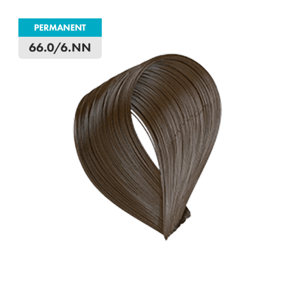 A permanent hair color swatch labeled 66.0/6.NN - Dark Natural Blonde Intense, shown on a green background.