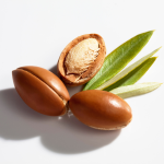 Three brown argan nuts (one split open to show the kernel) and three green leaves rest on a white background—essential ingredients in Clarifying Shampoo 16.9 oz.