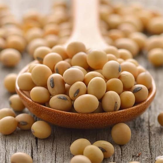A wooden spoon filled with dried soybeans, with more soybeans scattered on a wooden surface in the background.