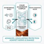 Diagram illustrating hair color protection with Speed-Up Color & Lightener Accelerator, featuring environmental shield, photo-oxidation block, color accelerator complex, rice oil UV filter, and reinforcing pigment for lasting results.