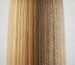 The Invisible Barrier: Water Quality Effects on Professional Hair Color Services