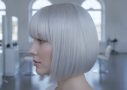 Professional Platinum Blonde Hair Color: Achieving 10 Levels of Lift with Integrity